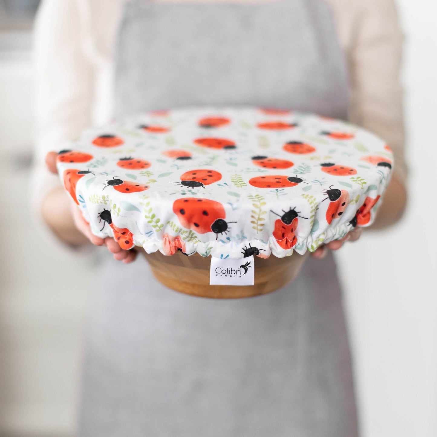 Bowl Cover Set - Ladybugs